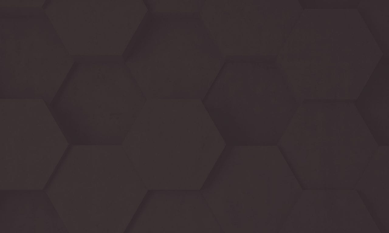 Mauris Hendrerit Nulla